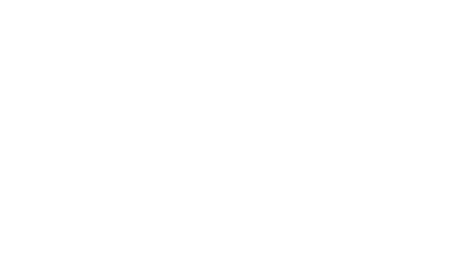 Frontline Freight Inc